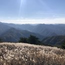 발구덕중간 이미지