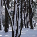 초당동-3 이미지