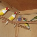 체력단련 이미지