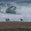 백암온천관광안내소 이미지
