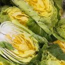 청은농장 이미지