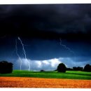 D.C 마트 | 비타민D 부족 증상 확인 후 복용 효과 후기