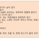 강릉시보건소 이미지