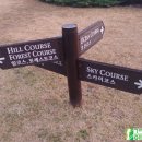 롯데스카이힐제주CC(회원제 18홀) 이미지