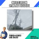 은행나무로 | 동탄 조경업체 은행나무 전지작업 후기