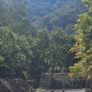 대둔산로(1) | [캠핑일기] 대전근교 키즈캠핑 대둔산캠핑랜드 할로윈캠핑 후기