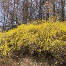 옥천동이로 이미지