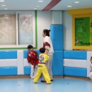 용인대 태권도장 이미지