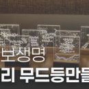 한국캘리테라피