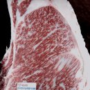 대양목장 이미지