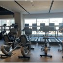 트라이 피트니스 이미지