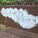 빨강궁전 이미지