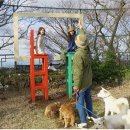 산책민박 이미지