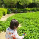 아이사랑몬테소리 어린이집 이미지