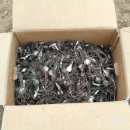 어미들 농장 이미지