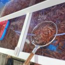 금성수산 이미지