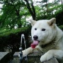 피식 - 여수시 | 피식