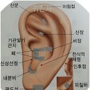 이혈(귀) 상담과 건강관리 이미지
