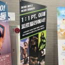 피트밀리경산