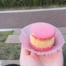 평택시 배다리저수지2 이미지