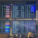 발리인제주 민박 | 발리여행 마지막날 :: 꾸따 비치워크 쇼핑몰 + 제주 발리 스쿠트 항공 후기