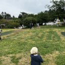 아침목장 | 아기랑 제주도 여행 :: 아침미소목장 후기