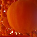 말랑달콤 이미지