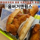 푸라닭하남미사강변점 | 움버거앤윙스 하남미사점 푸라닭이 만든 닭다리살 브리오쉬번 치킨버거 맛집