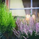 조경기능사 자격과정(이론) 이미지