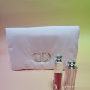 스칼렛스킨케어 | 디올 핑크 클러치 증정 어딕트 립 컬러&amp;케어 세트 카카오 선물하기 내돈내산 구매 후기