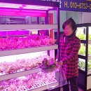 해천바이오 주식회사 이미지