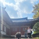 도평시장 이미지