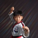 상록키즈태권도 이미지