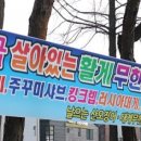 날으는산오징어 이미지