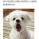 모아치과 이미지