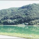 단양 강천쏘가리 이미지