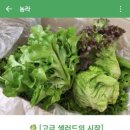 늘푸른농장1 네이버블로그