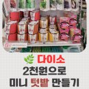양지로1L | [다이소 재배세트 후기] 초보자도 쉽게! 집에서 키우는 미니 텃밭