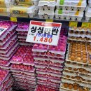 퀸마트 이미지