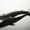 연세플러스비뇨기과의원 이미지