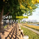 예산초 단풍나무길 | 천안 아산 가볼만한곳 현충사 곡교천 은행나무길 단풍 절정 실시간 후기