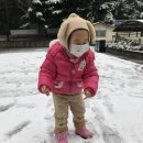 이쁘니 이발소 이미지