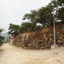 청도군-3 이미지