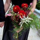 꽃향기 머무는 곳 | 대구에서 발견한 특별한 공간, 꽃향기가 머무는 곳