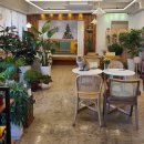 교룡커피