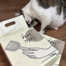 까사까리도 이미지