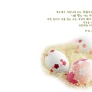 과일비행기
