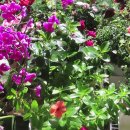 정원 수정소 이미지