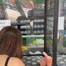 스테이자연도 이미지