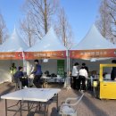 대저역 | 제23회 대저토마토축제 (26.3.21.~26.3.22.) 구경후기(주차, 먹거리, 직판장, 택배, 일정 정보)